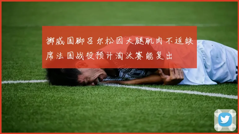 挪威国脚吕尔松因大腿肌肉不适缺席法国战役预计淘汰赛能复出